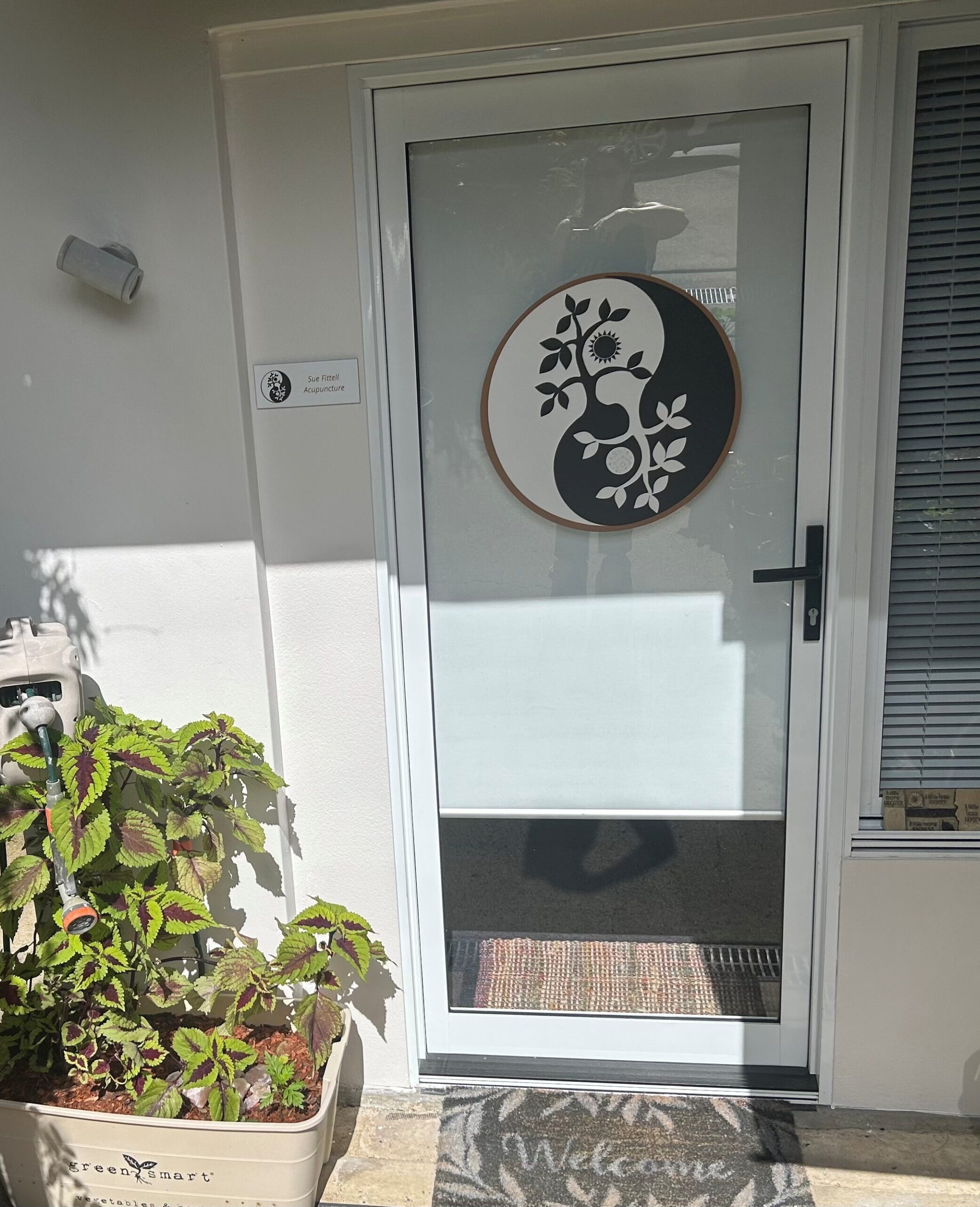 Sue Fittell Acupuncture 40 Terrace St, Toowong Sue Fittell Acupuncture Toowong